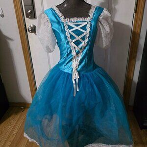 Enchanting Fairytale Blue Ballet Costume